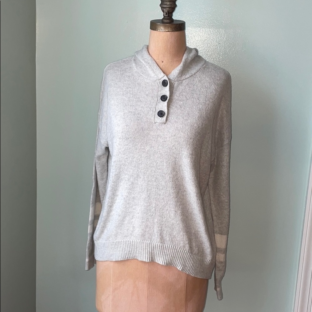 American Eagle Hooded Sweater